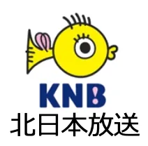 掲載メディア